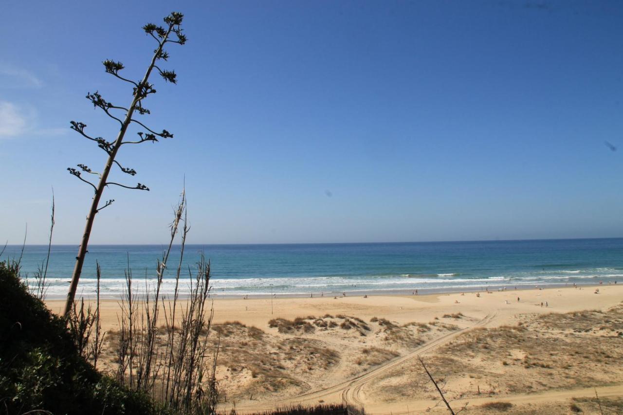 Estudio En El Centro De Conil Conil de la Frontera Kültér fotó
