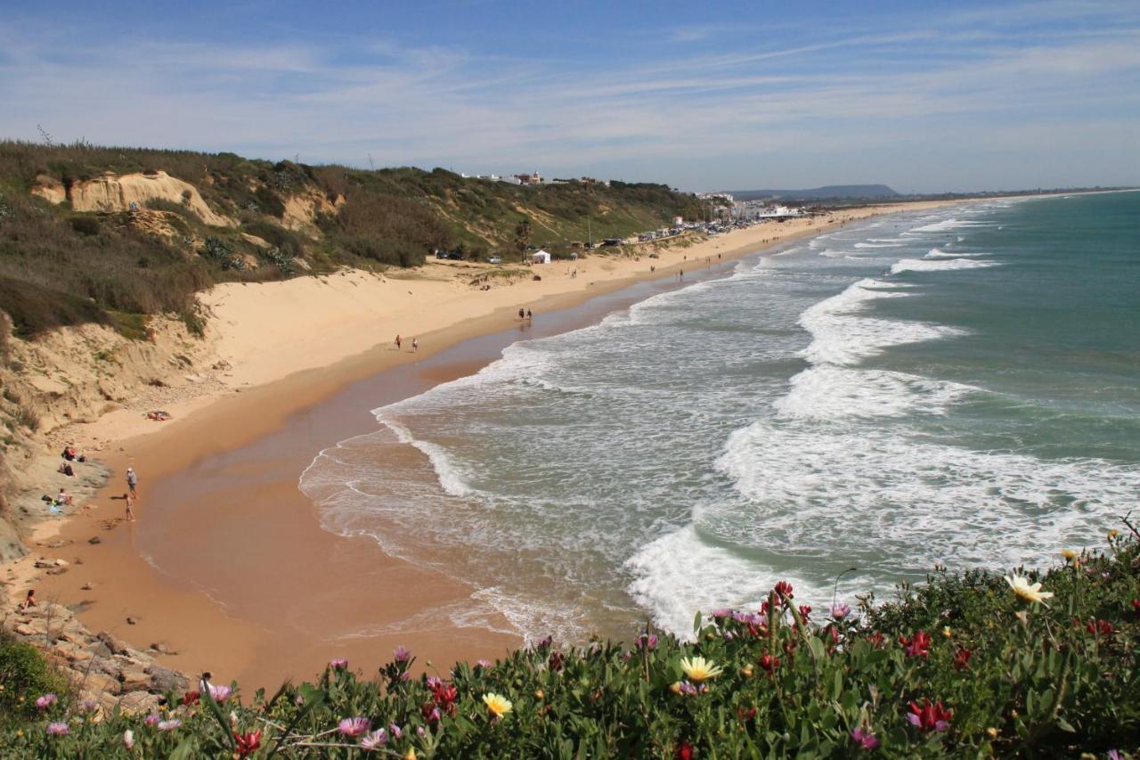 Estudio En El Centro De Conil Conil de la Frontera Kültér fotó